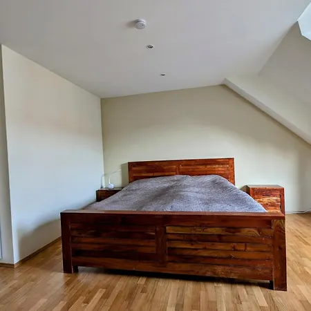 Großzügige Maisonette über Dem Leipziger Zentrum Apartment Leipzig