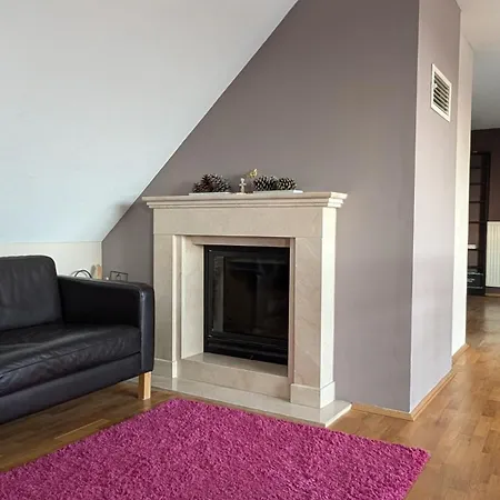 Grosszuegige Maisonette Ueber Dem Leipziger Zentrum Apartment Leipzig